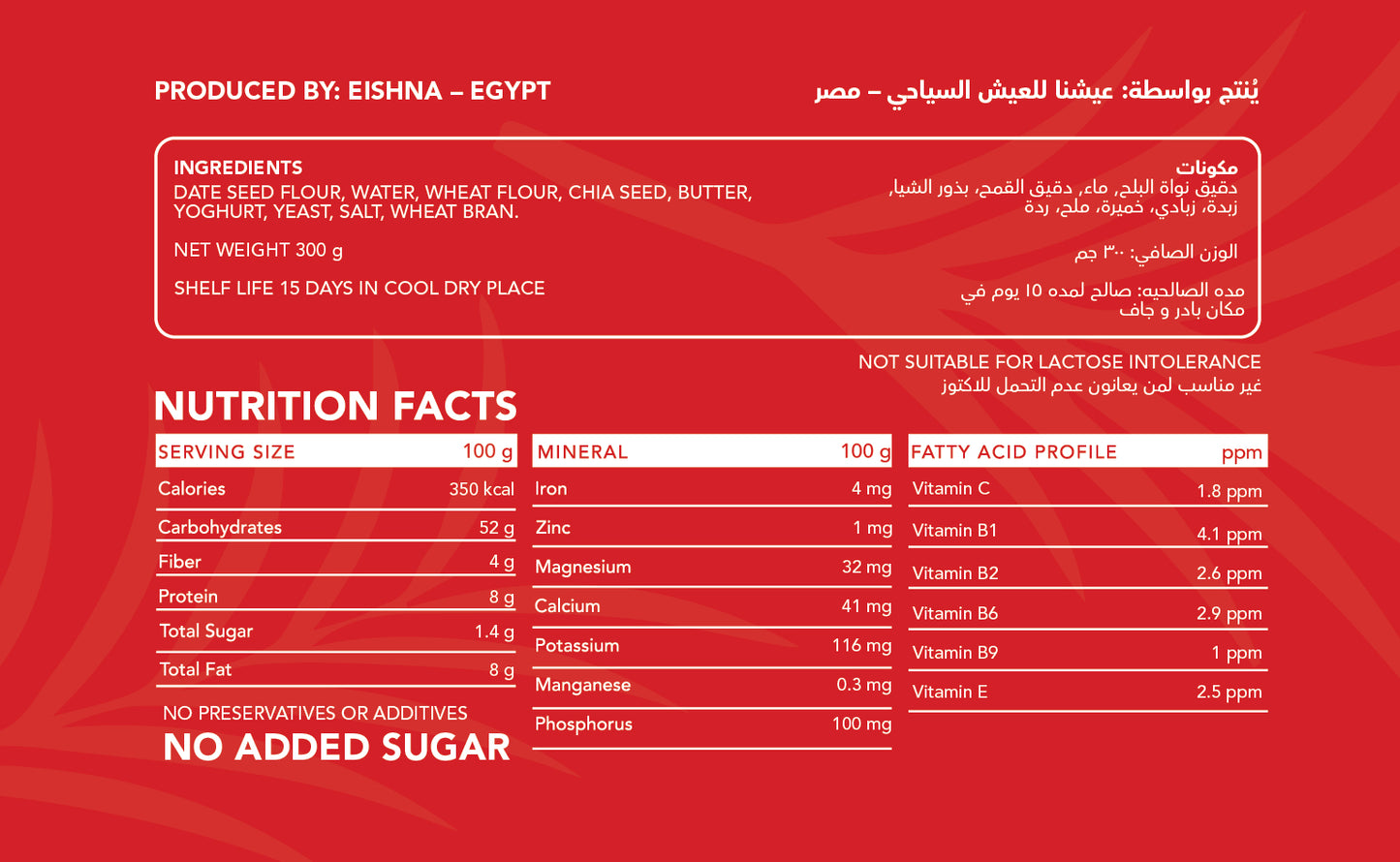 Eishna Date Seed Crackers - Original